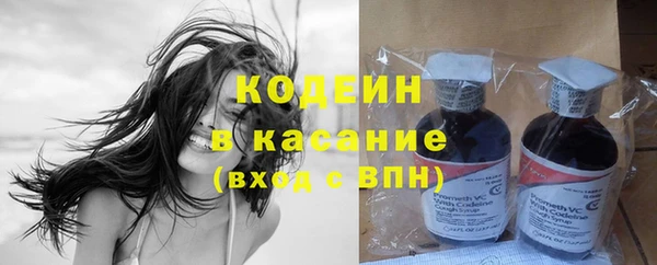 хмурый Аркадак