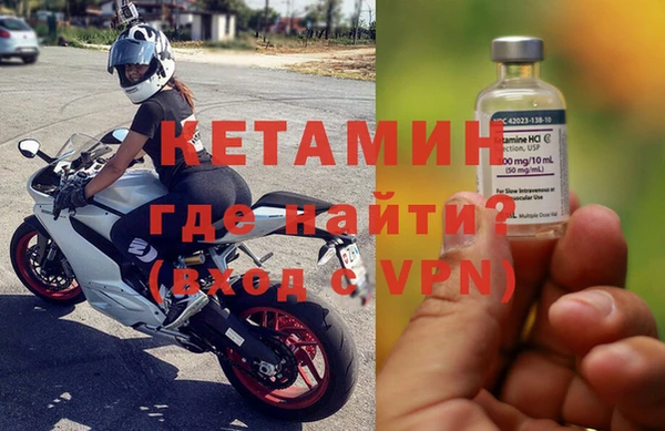 хмурый Аркадак