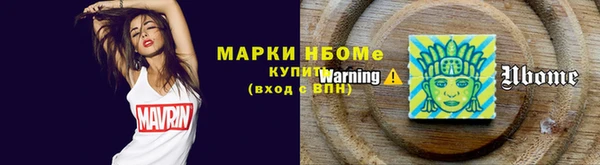 хмурый Аркадак