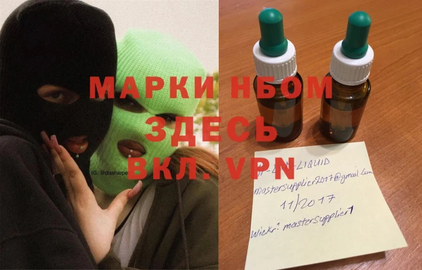 хмурый Аркадак