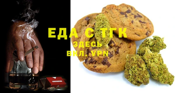 хмурый Аркадак