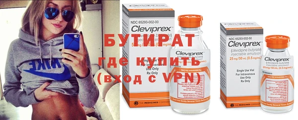 хмурый Аркадак