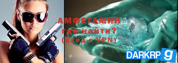 хмурый Аркадак